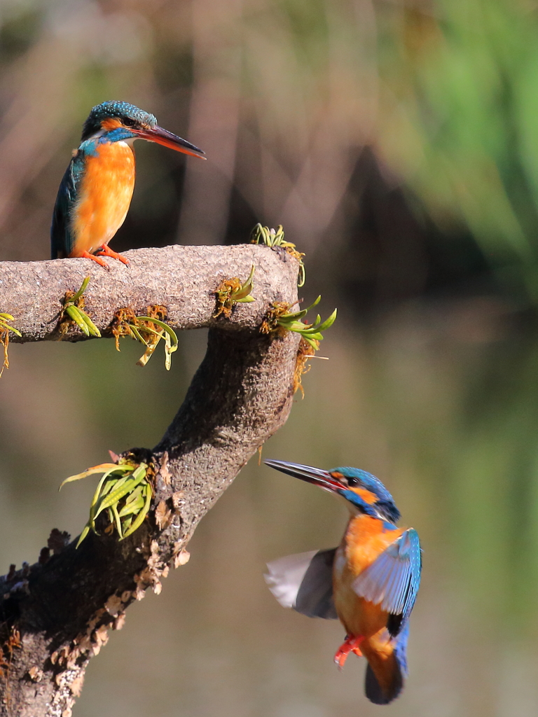 無表情　怖い！手ぶらで何しに来たの