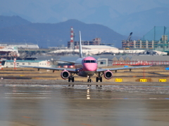 FDAピンク