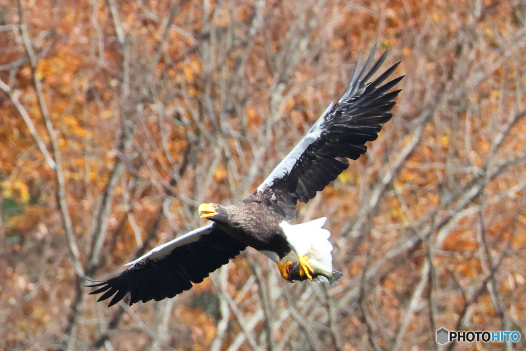 おばあちゃん2D4A1667