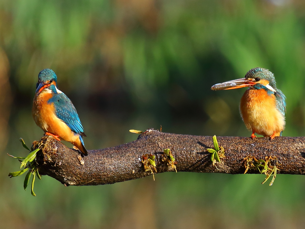 第２話　こうやって私にくれればよいんだよ！