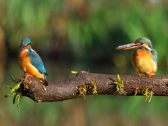 第２話　こうやって私にくれればよいんだよ！