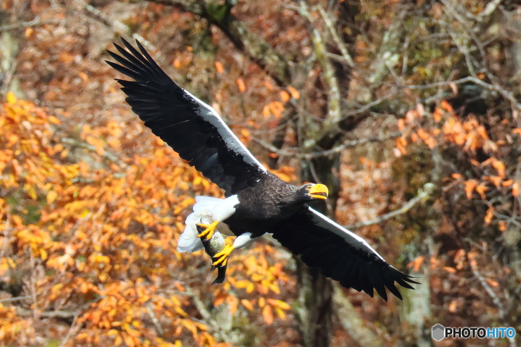 おばあちゃん2D4A1603