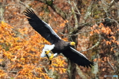 おばあちゃん2D4A1603