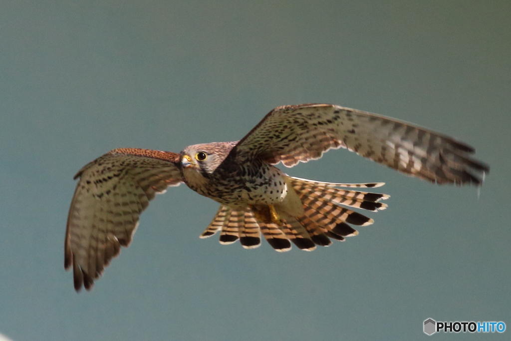 きらり太陽を浴びて
