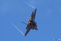 F15 2D4A8815
