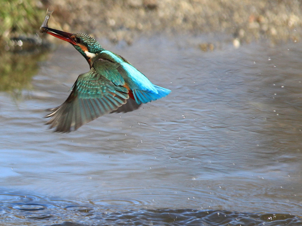 蔵出し2年前の在庫.②