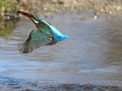 蔵出し2年前の在庫.②