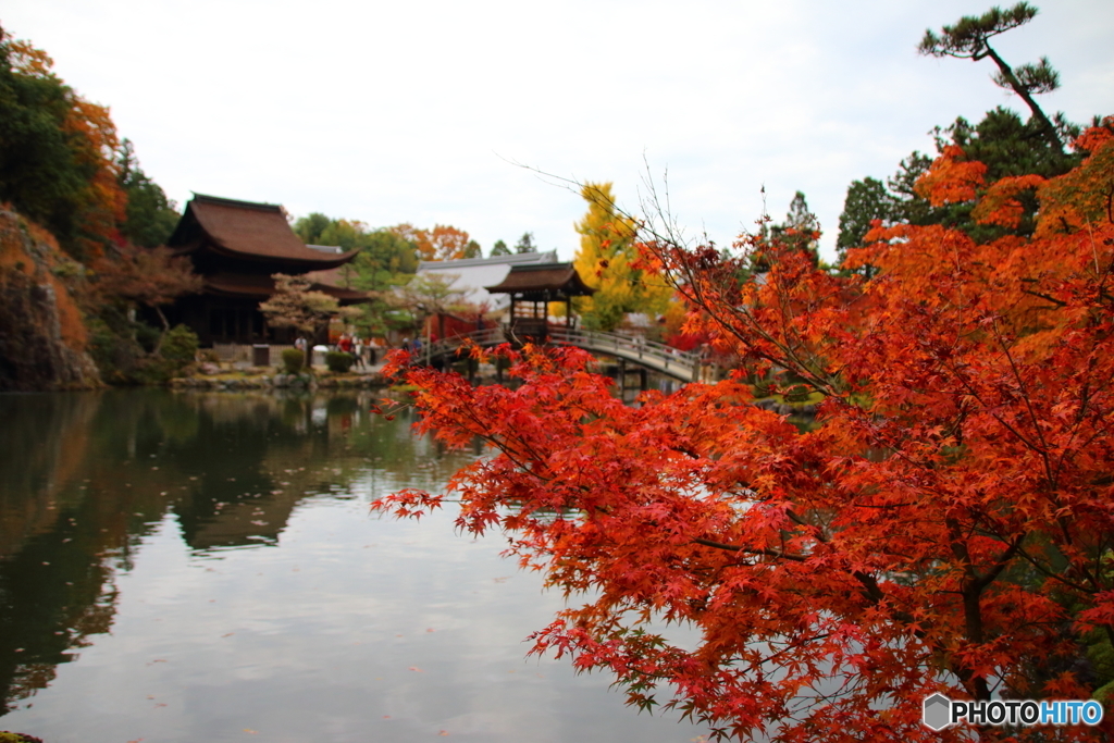 虎渓山　紅葉　池