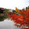 虎渓山　紅葉　池