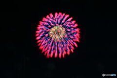 HANABI1