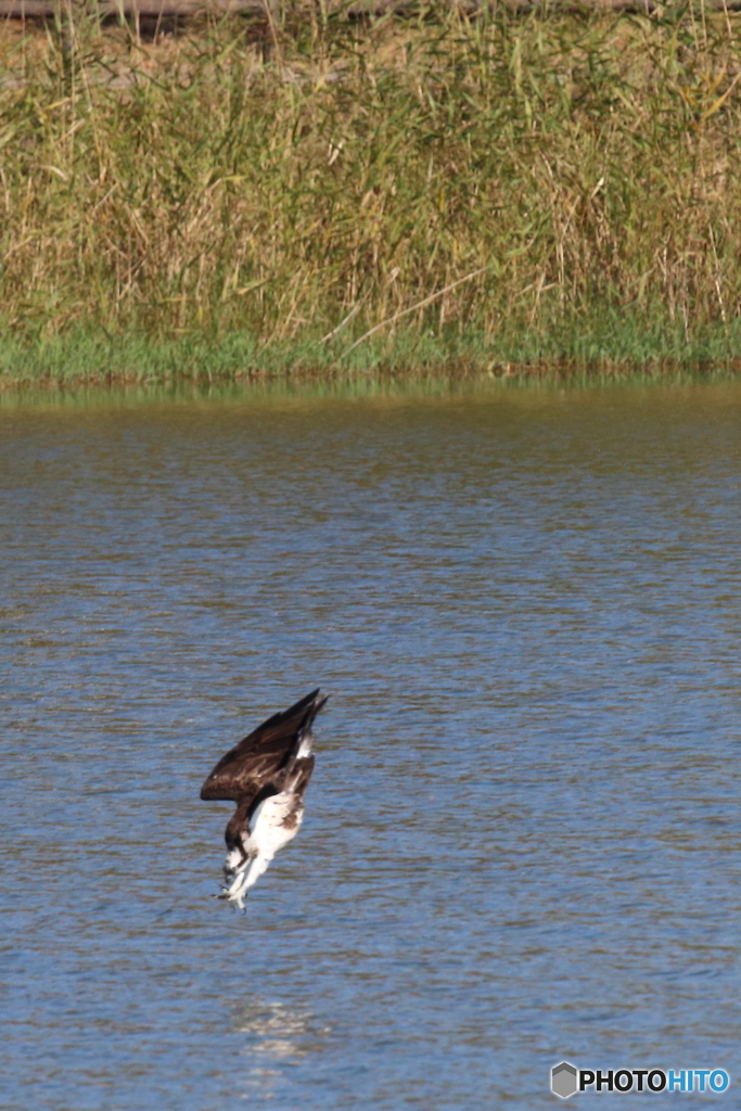 ミサドボン⑥大好きなポーズ！