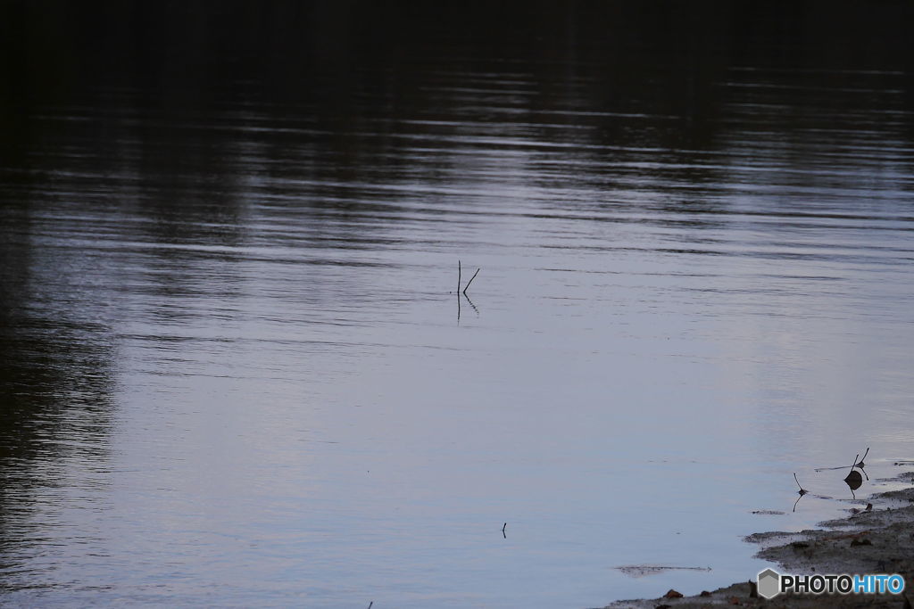 水辺に浮かぶ「K」　（カメラ女子作）