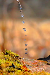 水玉の連なり