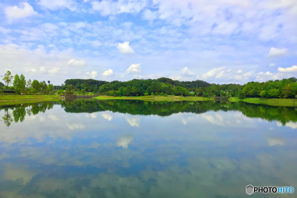 水面写森（水面しゃしん）