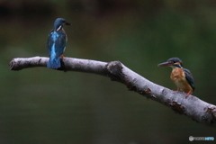 ひっさびさの2ショットいただきました