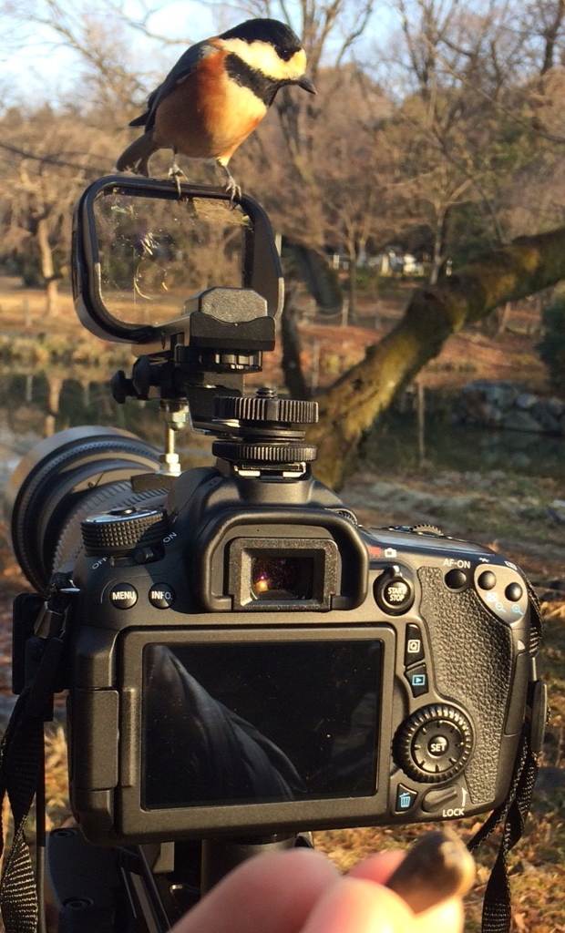 お土産おいていかないでね