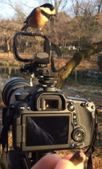 お土産おいていかないでね