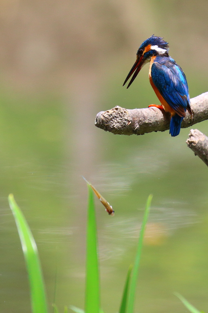 しまった！＆ラッキー！