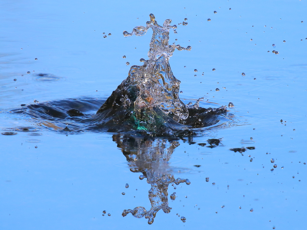 水しぶきの彫刻