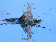 水しぶきの彫刻