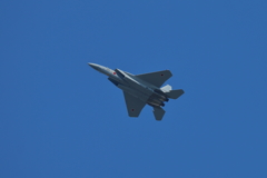 ミサゴ観てたらF15②