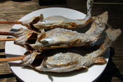 鱒塩焼き、