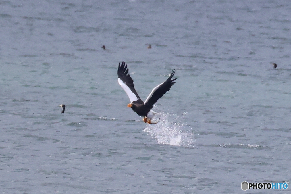 おばあちゃん2D4A1203