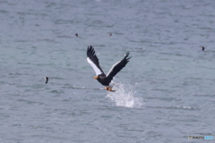 おばあちゃん2D4A1203