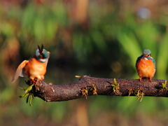 第３話　乙女心分らん！解らん！判らん！