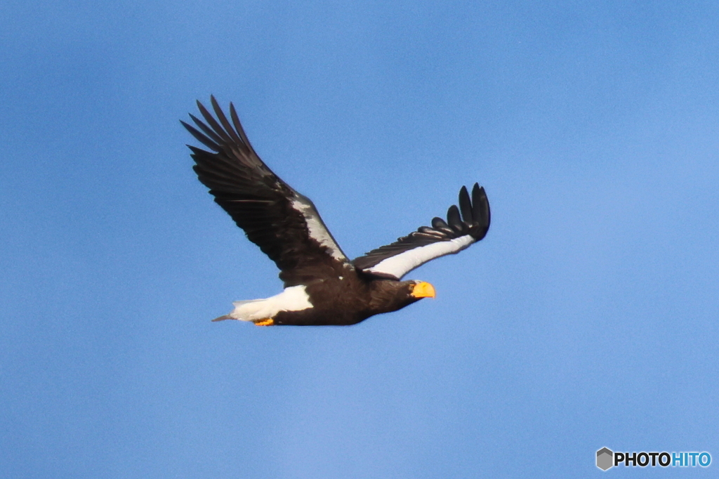 おばあちゃん29周年2D4A8553
