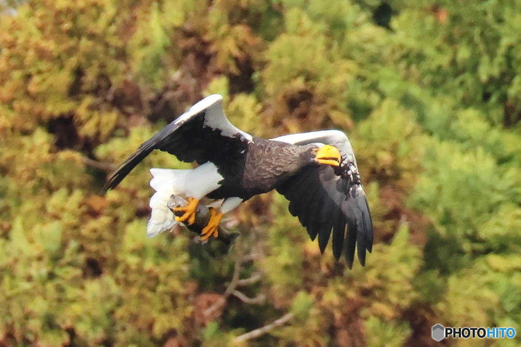 おばあちゃん2D4A1560