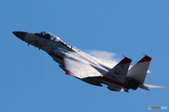 F15 2D4A8672
