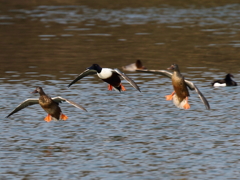 着水！ブレーキよし♪