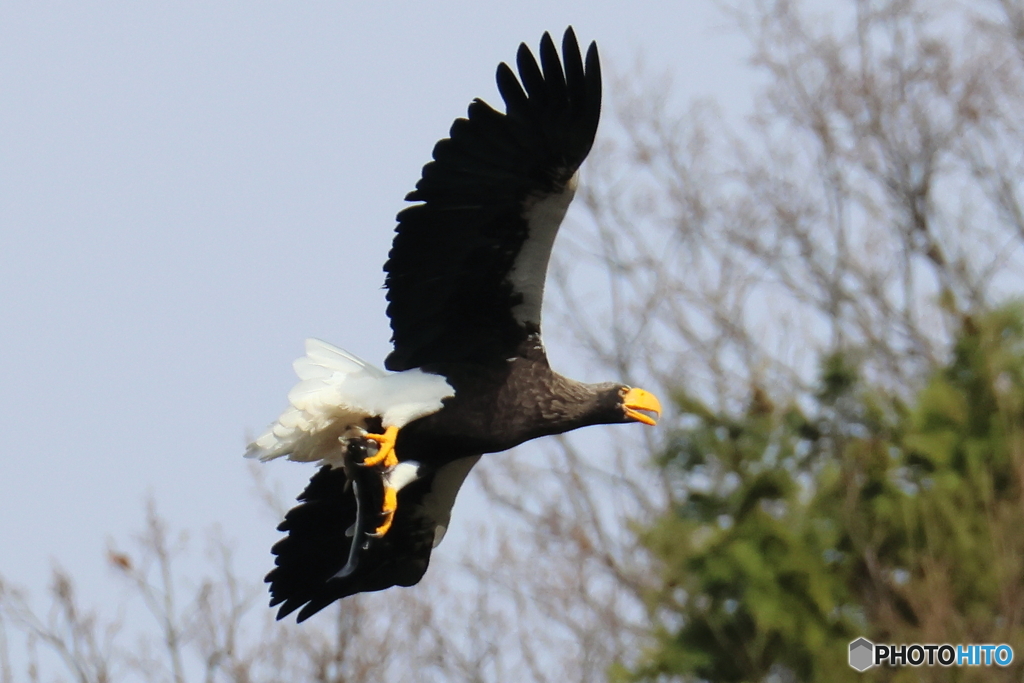 おばあちゃん2D4A1709