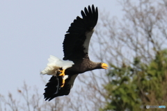 おばあちゃん2D4A1709