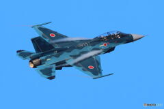 F2 大好き2D4A5544