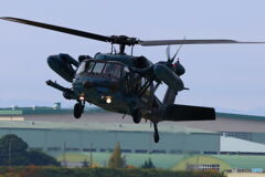 RF100-400  2D4A7892