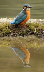 鏡の向こうの君