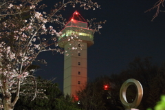 さくらタワー