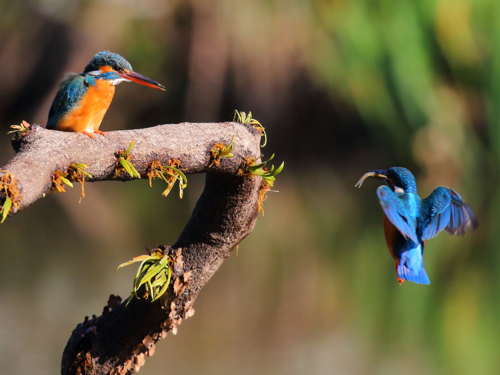 やさしく見守る　姉さん