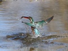 蔵出し2年前の在庫.③
