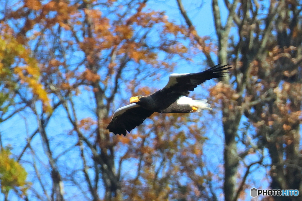おばあちゃん29周年2D4A8447