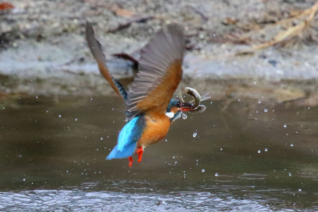 よだれ垂れてる？
