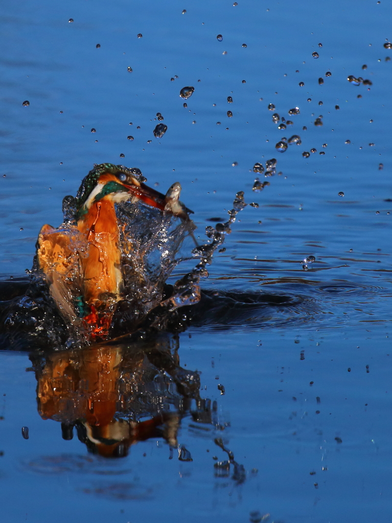 飛び出す瞬間２