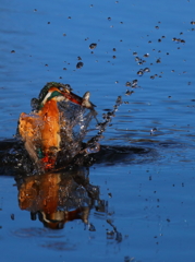 飛び出す瞬間２