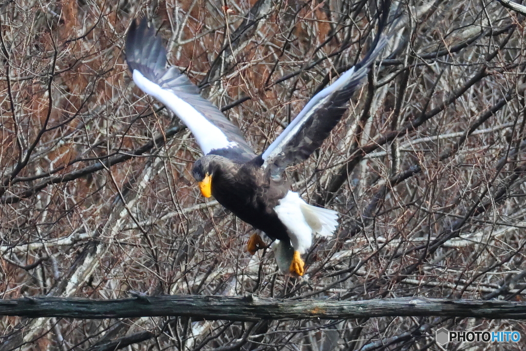 おばあちゃん2D4A2202