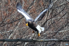 おばあちゃん2D4A2202