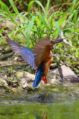 わが子へテイクアウト