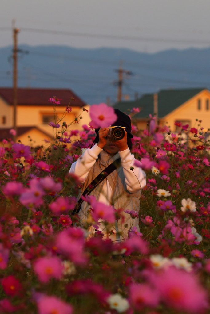 コスモスカメラ女子