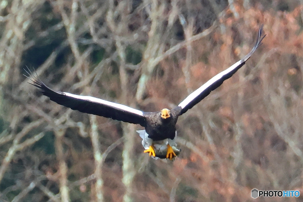 おばあちゃん2D4A1529